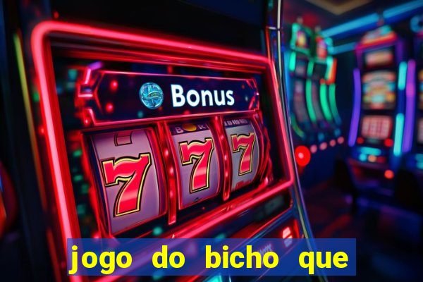 jogo do bicho que paga no pix